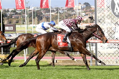 2022 Manikato Stakes: Race History .